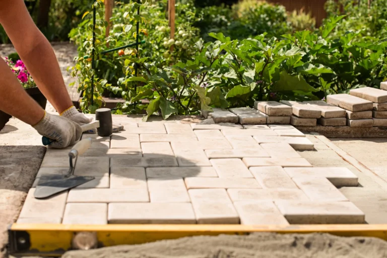Terrasse pavée, détail des joints